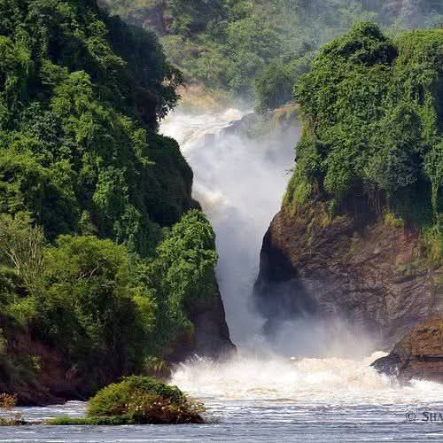 Safari gallery image 31